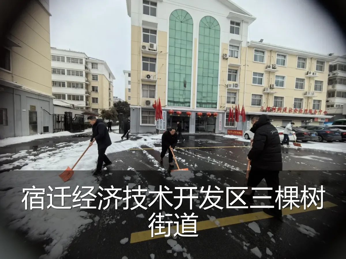 宿迁经济技术开发区三棵树街道